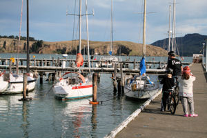 Lyttelton marina